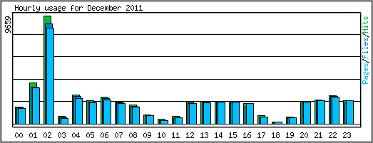 Hourly usage