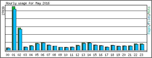 Hourly usage