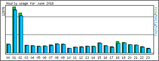 Hourly usage