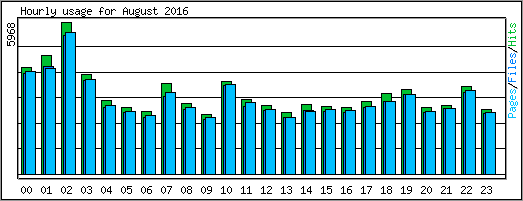 Hourly usage