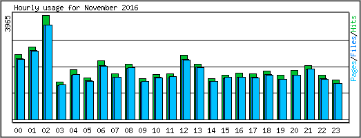 Hourly usage