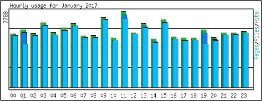 Hourly usage