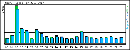 Hourly usage