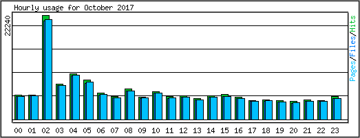 Hourly usage