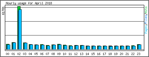 Hourly usage