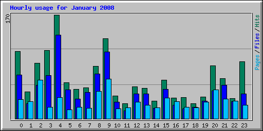 Hourly usage for January 2008